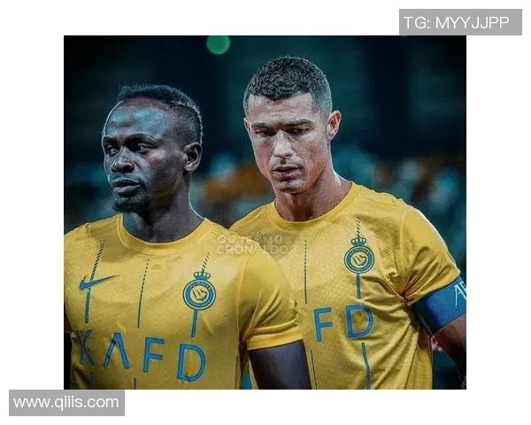 2002年伊朗足球巨星的辉煌时刻与绿茵场上不朽传奇故事