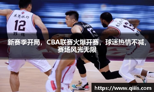 BB贝博登录入口
