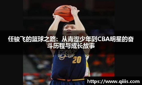 BB贝博登录入口