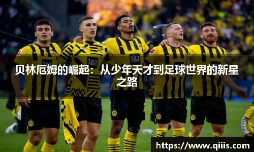 BB贝博